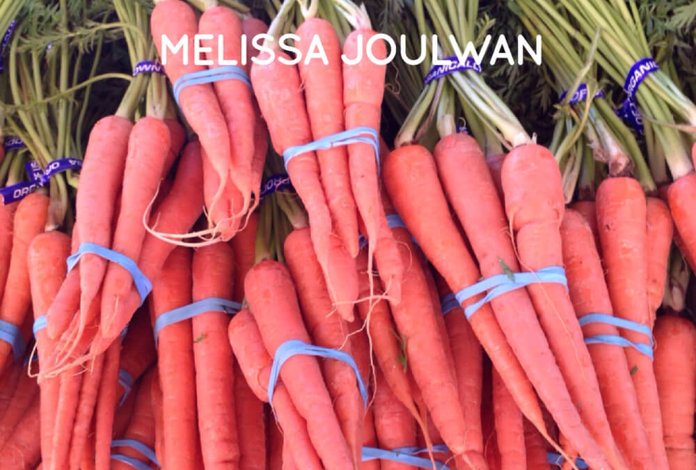 Rewiring Your Brain with Self-Compassion and Gratitude