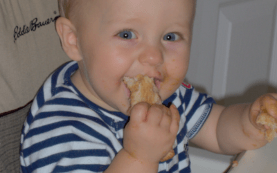 Feeding Your Family – Division of Responsibility