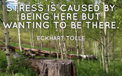 Acceptance = Change