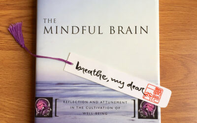 Mindfulness – Reducing Needless Physical and Emotional Suffering