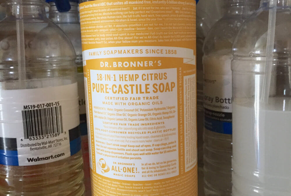 Earth Day 2016 – DIY Cleaning Products