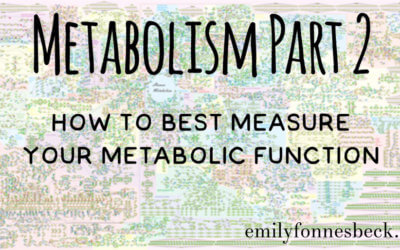 Metabolism Part 2