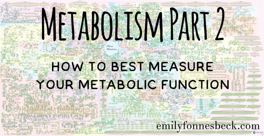 Metabolism Part 2