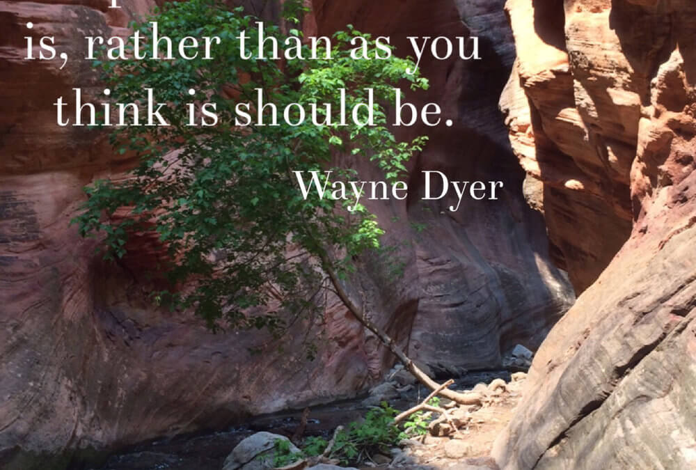 On Managing Anxiety: Operation Peace